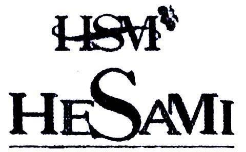 Mẫu nhãn hiệu HSM HESAMI