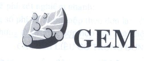 Mẫu nhãn hiệu GEM