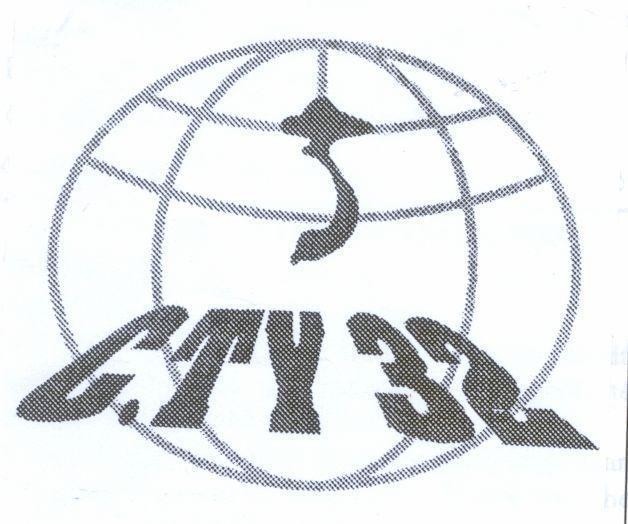 Mẫu nhãn hiệu C.TY 32