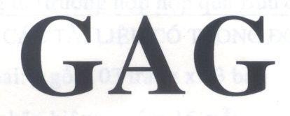 Mẫu nhãn hiệu GAG