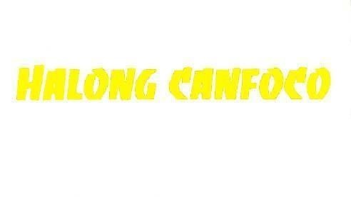 Mẫu nhãn hiệu HALONG CANFOCO