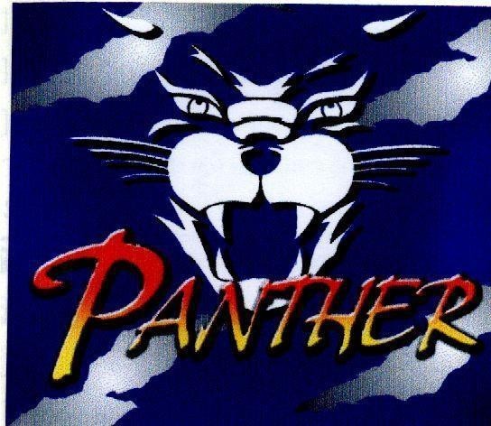 Mẫu nhãn hiệu PANTHER