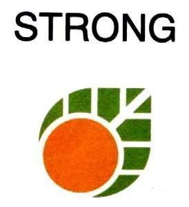 Mẫu nhãn hiệu STRONG