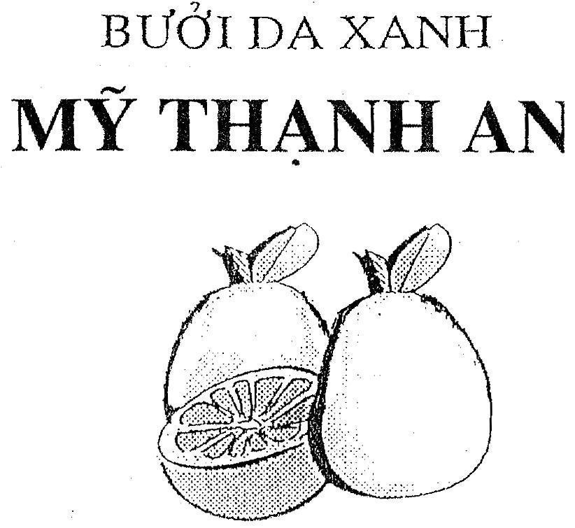 Mẫu nhãn hiệu Mỹ Thạnh An Bưởi da xanh