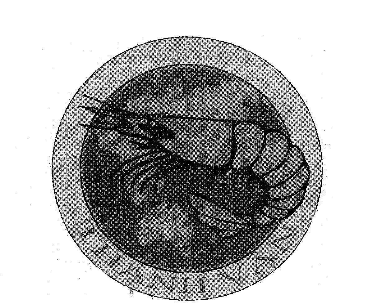 Mẫu nhãn hiệu THANH VÂN