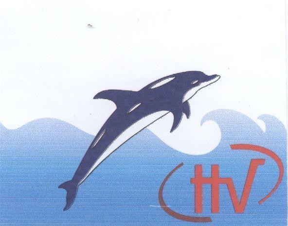 Mẫu nhãn hiệu HV