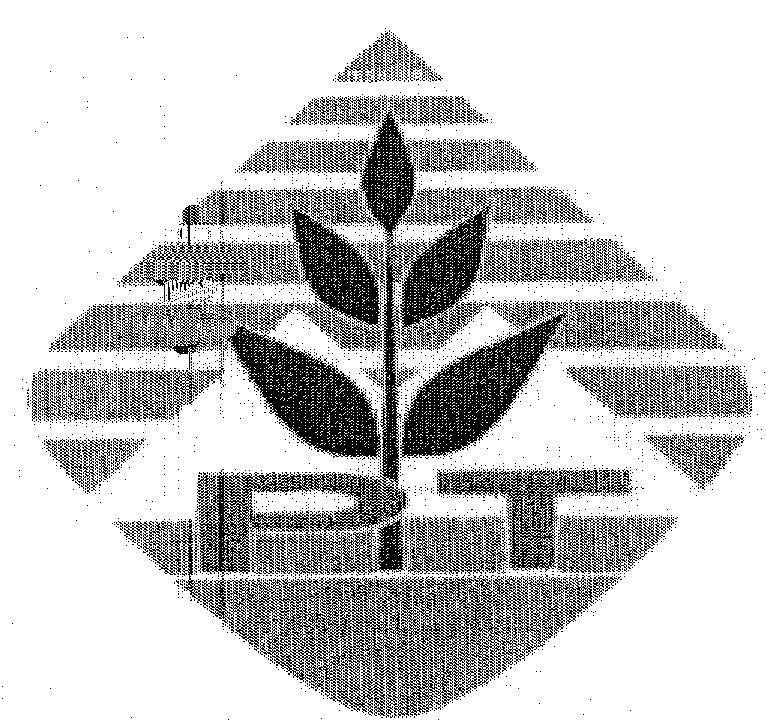Mẫu nhãn hiệu PT