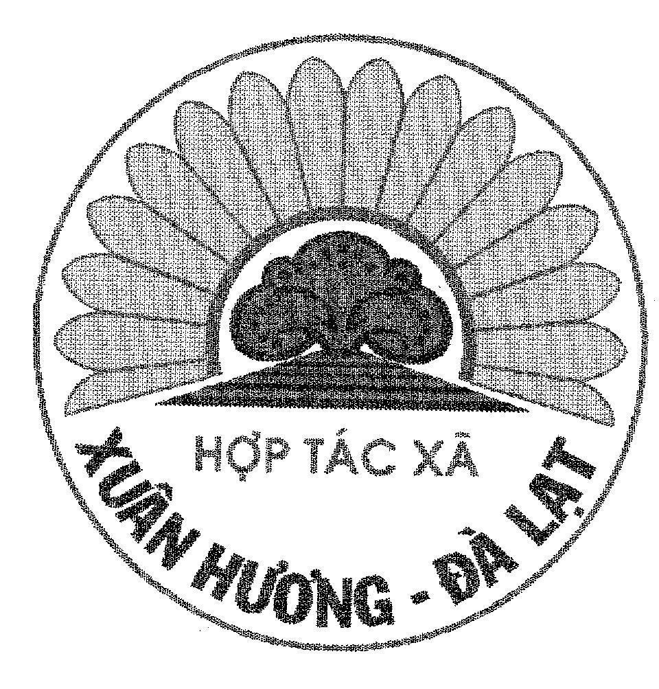 Mẫu nhãn hiệu Xuân Hương - Đà Lạt Hợp tác xa