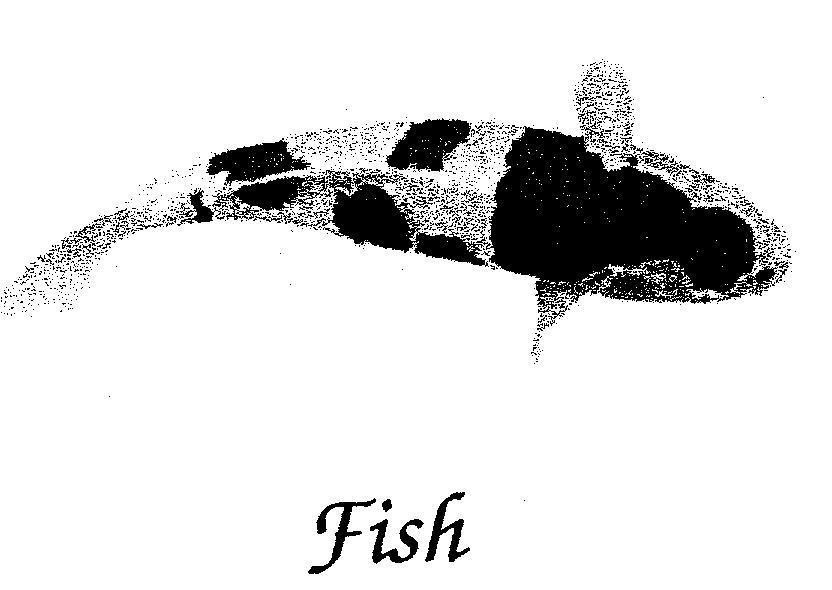Mẫu nhãn hiệu FISH