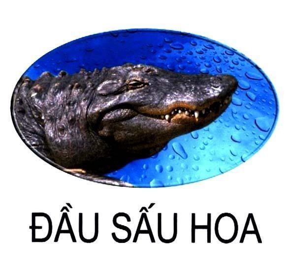 Mẫu nhãn hiệu ĐầU SấU HOA