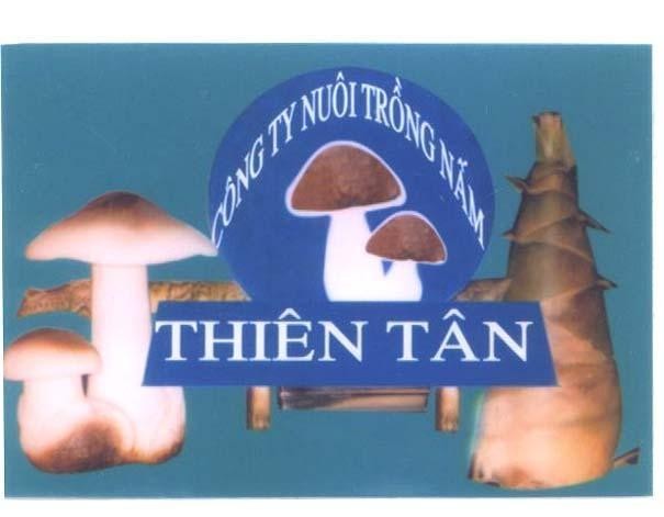 Mẫu nhãn hiệu THIÊN TÂN CÔNG TY NUÔI TRồNG NấM