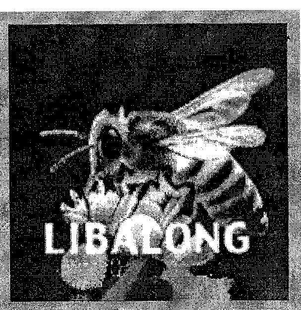 Mẫu nhãn hiệu LIBALONG