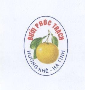 Mẫu nhãn hiệu PHúC TRạCH HƯƠNG KHÊ Hà TĩNH BƯởI
