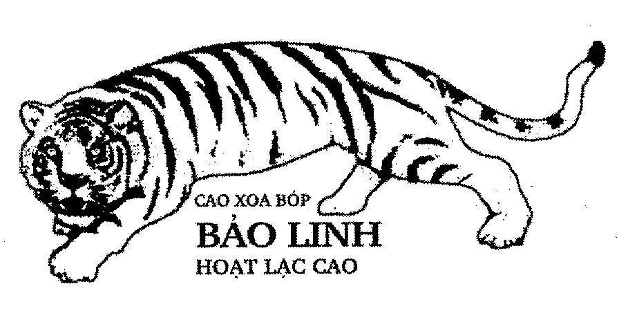 Mẫu nhãn hiệu Bảo Linh Cao xoa bóp hoạt lạc cao