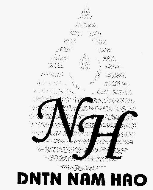 Mẫu nhãn hiệu NH NAM HAO DNTN