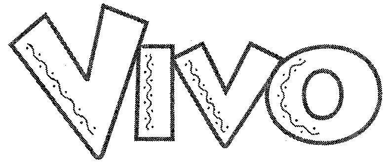 Mẫu nhãn hiệu VIVO