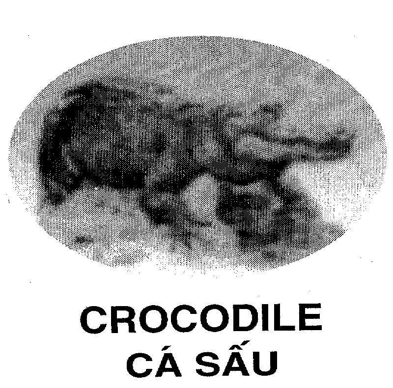 Mẫu nhãn hiệu CROCODILE Cá Sấu