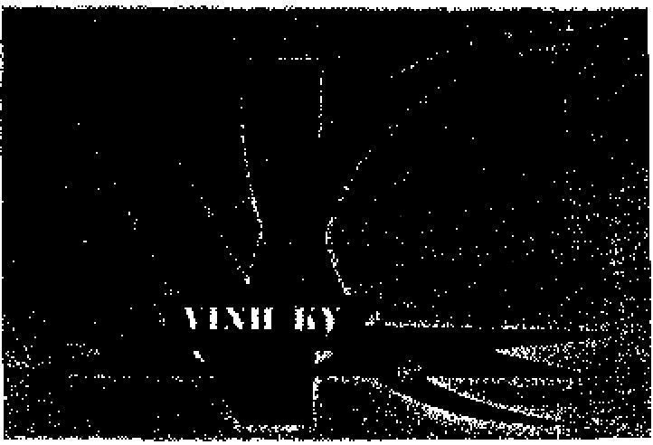 Mẫu nhãn hiệu V K VINH KY