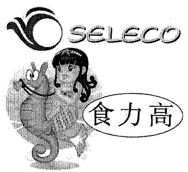 Mẫu nhãn hiệu SELECO