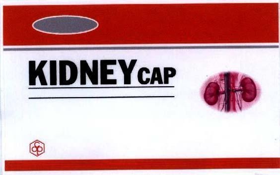 Mẫu nhãn hiệu KIDNEY CAP