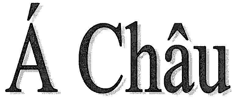 Mẫu nhãn hiệu á CHÂU