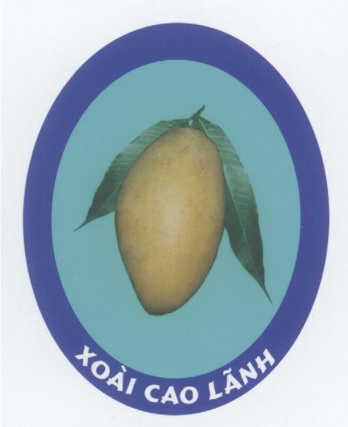 Mẫu nhãn hiệu XOAI CAO LANH