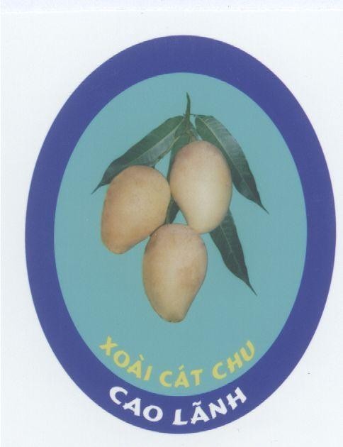 Mẫu nhãn hiệu XOAI CAT CHU CAO LANH