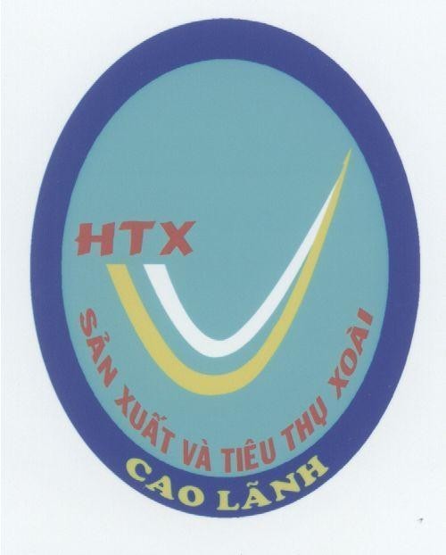 Mẫu nhãn hiệu HTX SAN XUAT VA TIEU THU XOAI CAO LANH
