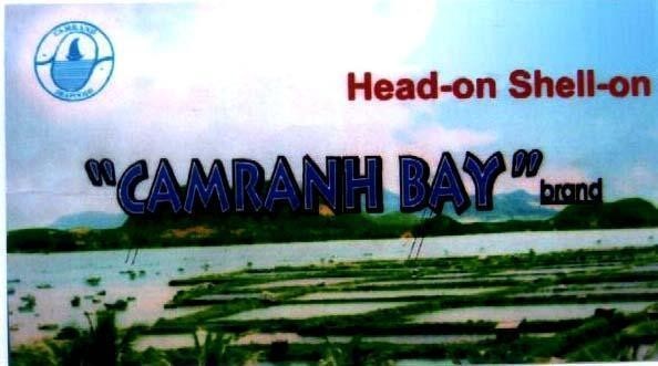 Mẫu nhãn hiệu HEAD-ON SHELL-ON CAMRANH BAY BRAND