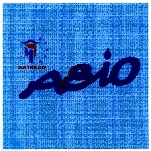 Mẫu nhãn hiệu H T HATHACO ASIO