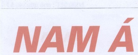 Mẫu nhãn hiệu NAM á