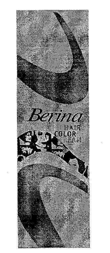 Mẫu nhãn hiệu B BERINA HAIR COLOR CREAM