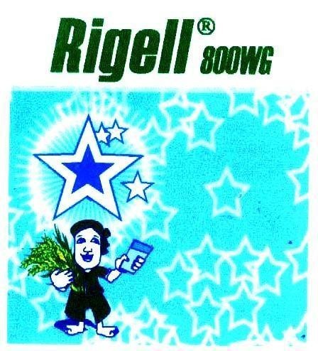 Mẫu nhãn hiệu RIGELL 800WG