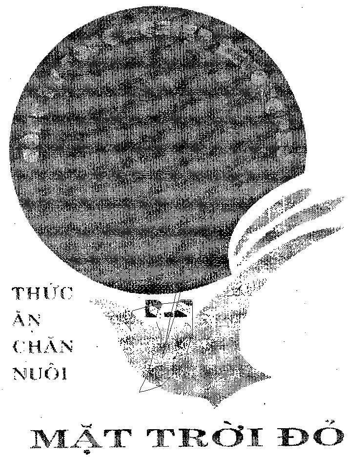 Mẫu nhãn hiệu Thức Ăn Chăn Nuôi Mặt Trời Đỏ R S CONG TY CONG NGHIEP THUONG PHU