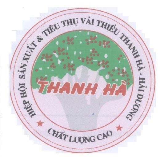 Mẫu nhãn hiệu THANH Hà HIệP HộI SảN XUấT Và TIÊU THụ VảI THIềU THANH Hà Cây vải Tổ Thế kỷ XIX