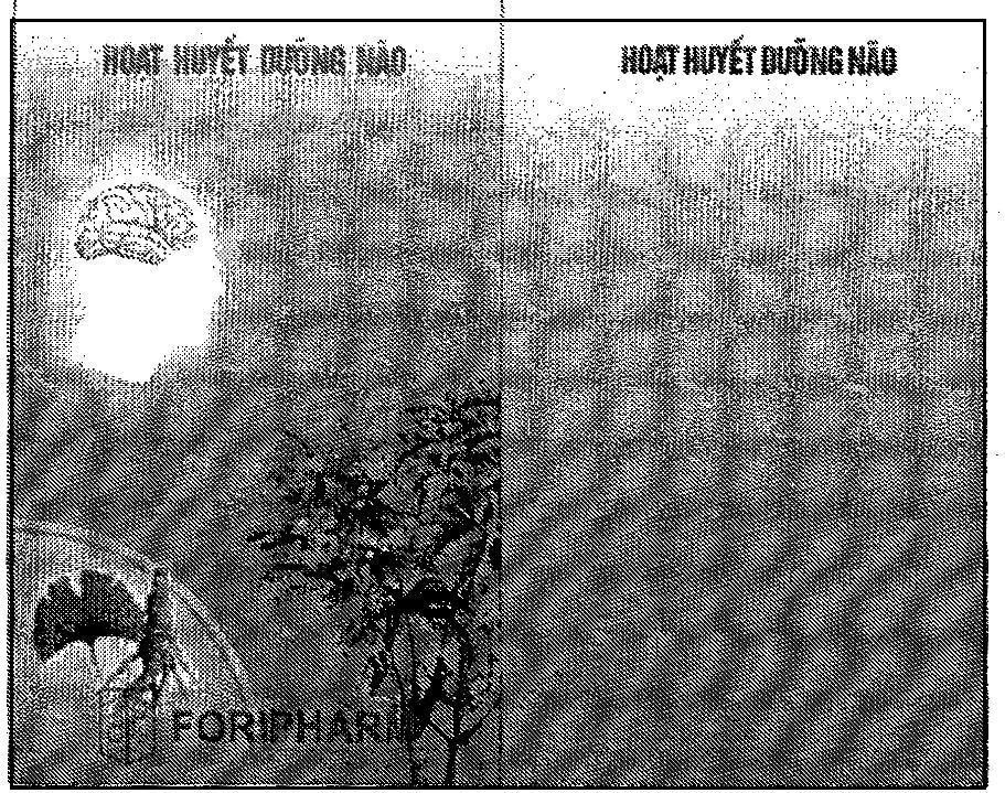Mẫu nhãn hiệu Hoạt Huyết Dưỡng Não FORIPHARM