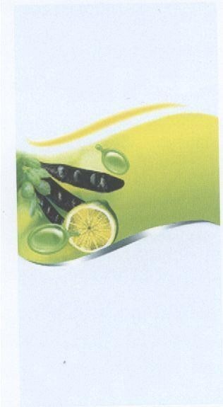 Mẫu nhãn hiệu Nhãn hiệu VN-4-2004-02669