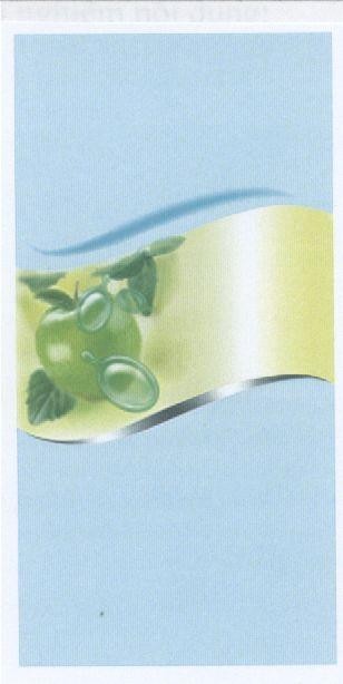Mẫu nhãn hiệu Nhãn hiệu VN-4-2004-02672