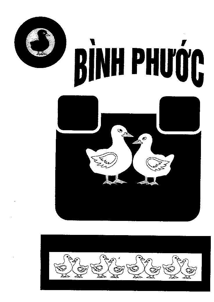 Mẫu nhãn hiệu Bình Phước