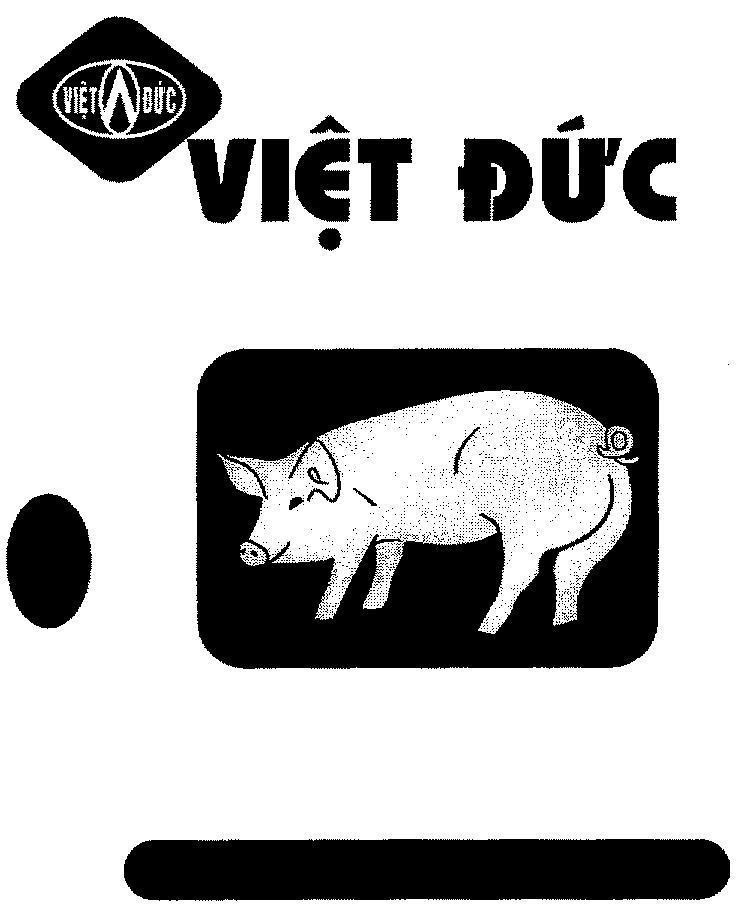 Mẫu nhãn hiệu Việt Đức