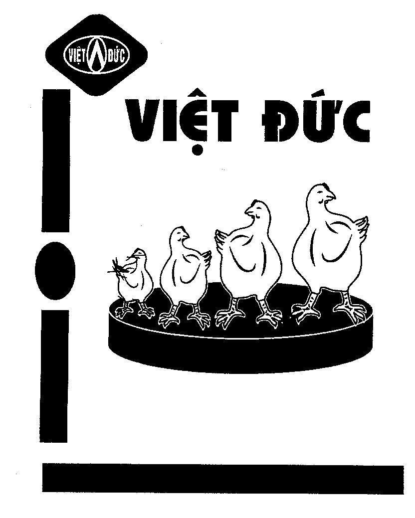 Mẫu nhãn hiệu Việt Đức
