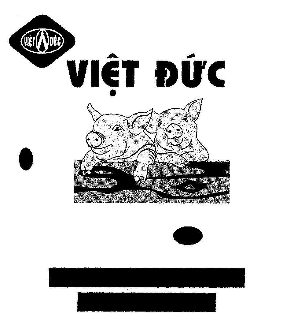 Mẫu nhãn hiệu Việt Đức