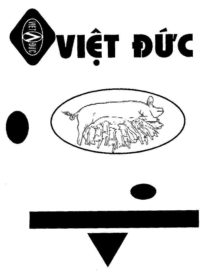 Mẫu nhãn hiệu Việt Đức