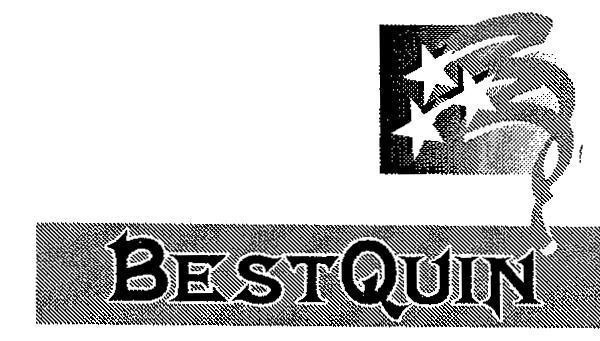 Mẫu nhãn hiệu BESTQUIN