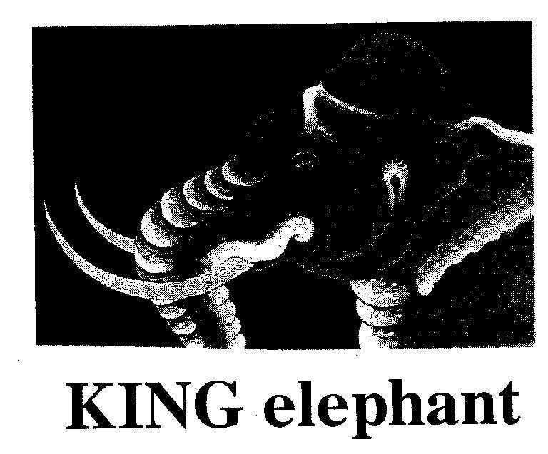 Mẫu nhãn hiệu KING ELEPHANT