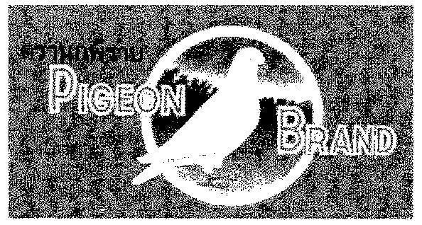 Mẫu nhãn hiệu PIGEON BRAND