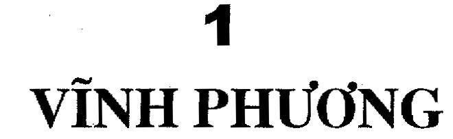 Mẫu nhãn hiệu 1 VĩNH PHƯƠNG