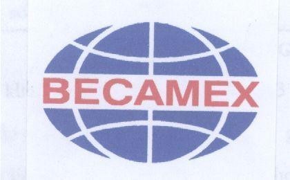 Mẫu nhãn hiệu BECAMEX