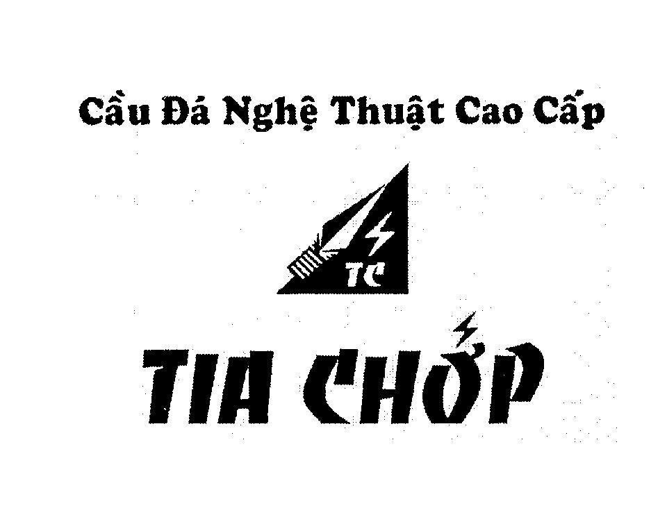 Mẫu nhãn hiệu Cầu Đá Nghệ Thuật Cao Cấp TC Tia Chớp