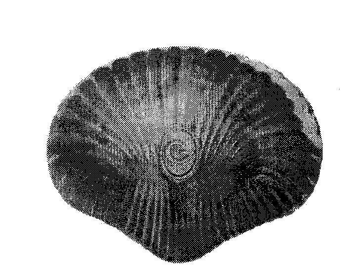 Mẫu nhãn hiệu G